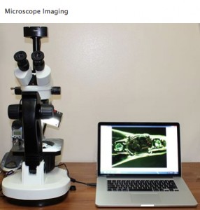A.R.T. Jewelry LLC Mic Imaging 